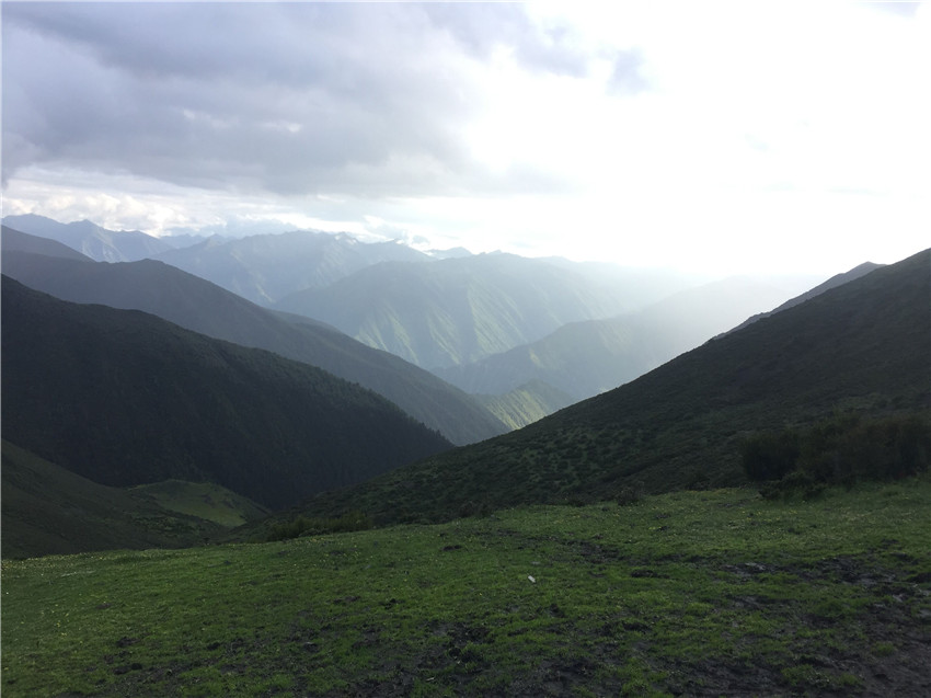 牧場遠(yuǎn)眺。.jpg