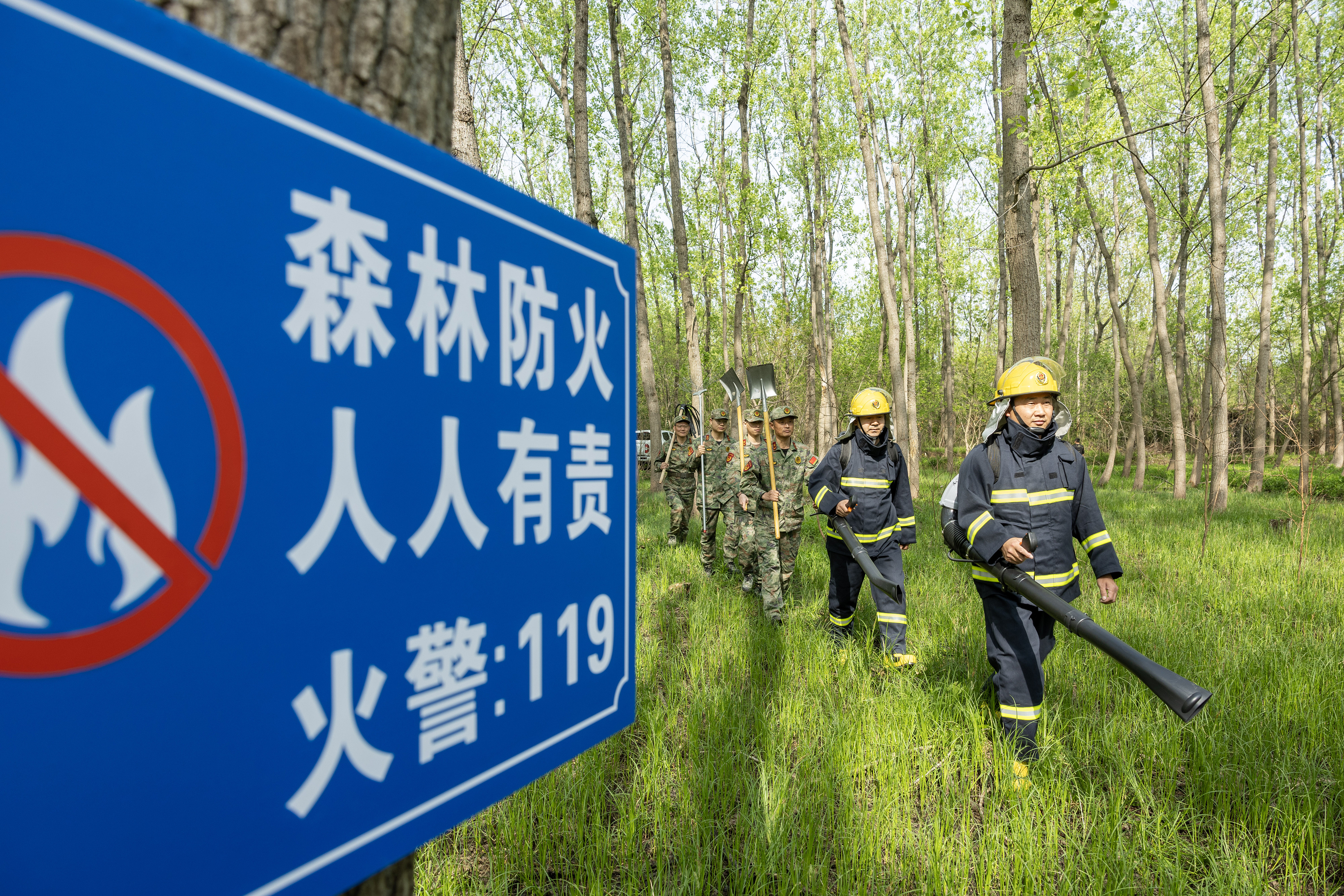 2024年4月9日，合肥市大房郢水庫水源保護(hù)地廬陽經(jīng)濟(jì)開發(fā)區(qū)段，基干民兵正在林間巡查火災(zāi)隱患。