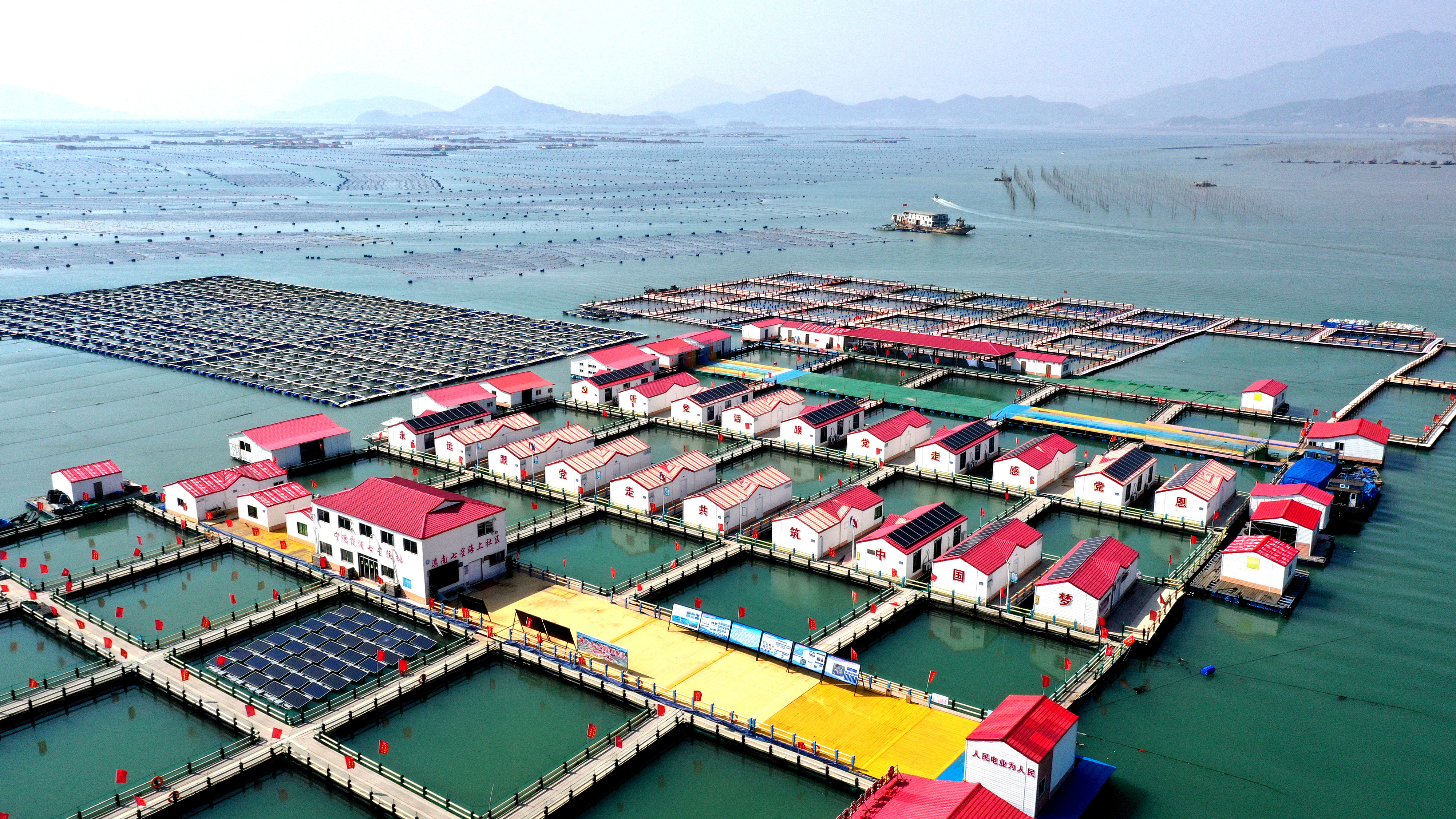 2024年3月20日，福建省寧德市，霞浦縣溪南鎮(zhèn)七星村漁排養(yǎng)殖示范區(qū)，漁民駕駛養(yǎng)殖船進(jìn)行海參養(yǎng)殖作業(yè)。