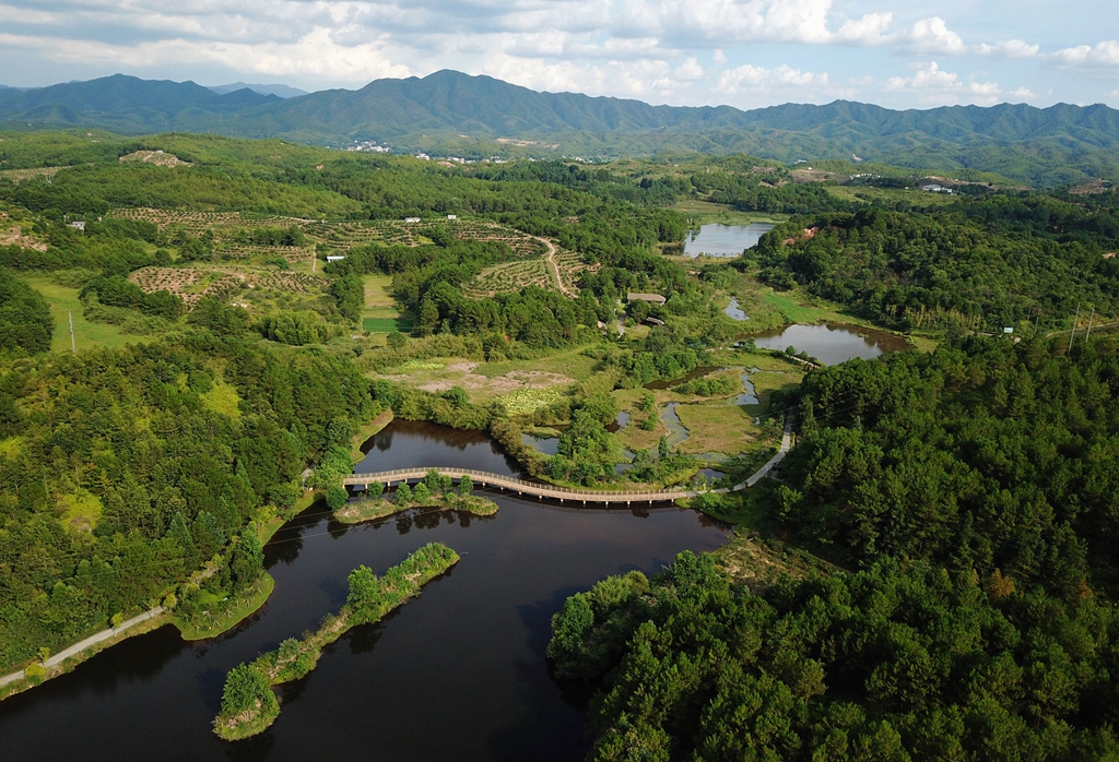 福建省龍巖市長(zhǎng)汀縣的長(zhǎng)汀汀江國(guó)家濕地公園景色（2020年7月28日攝，無(wú)人機(jī)照片）。新華社記者 魏培全 攝